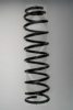 SPIDAN 55381 Coil Spring